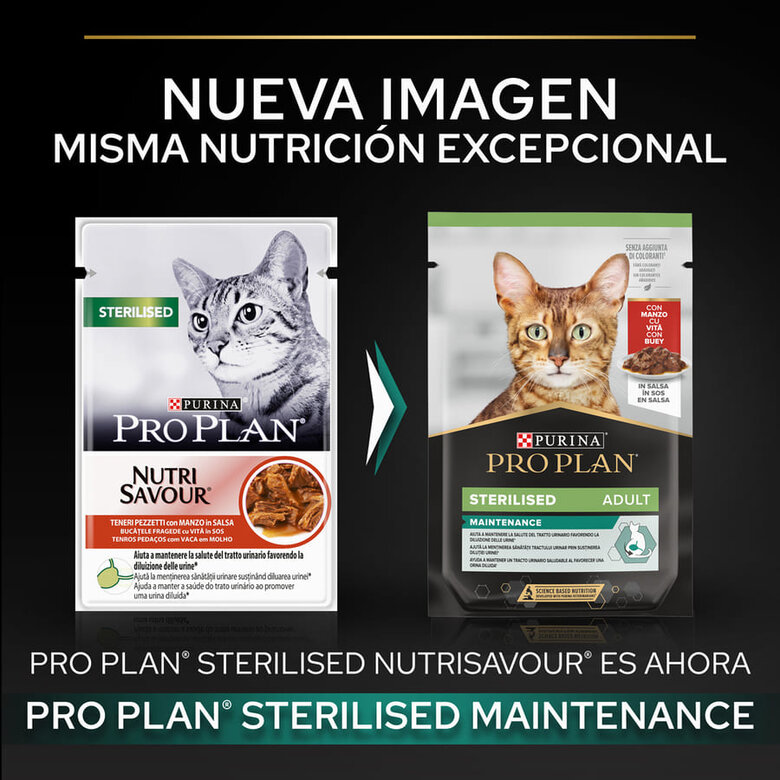 Pro Plan Sterilised Maintenance sobre con Buey en salsa para gatos, , large image number null
